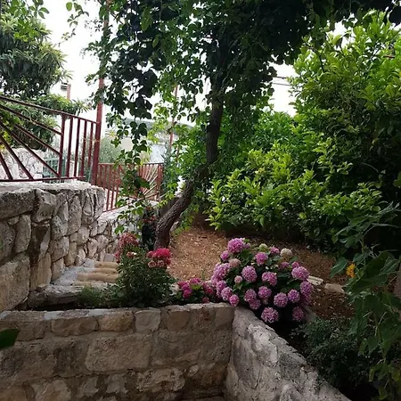 Goran's Place