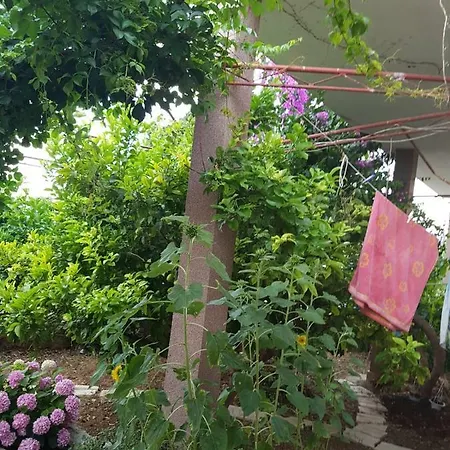 Goran's Place